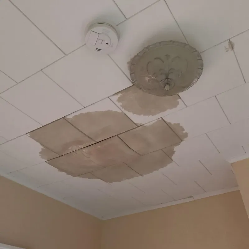 Ceiling Water Damage Repair in Dickson City, PA