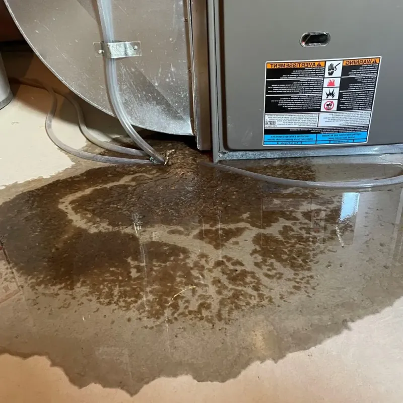 Pipe Burst and Leak Restoration in Dickson City, PA