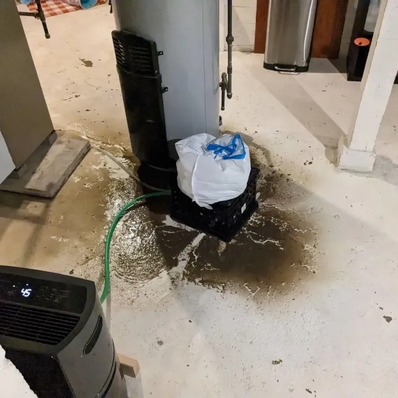 Sewage Backup Cleanup Service in Dickson City, PA